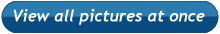 View All Pictures at Once