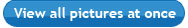 View all pictures at once