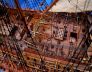 tall ships is fully assembled
