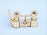 brass telescopes is fully assembled