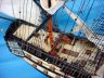 HMS Leopard is fully assembled