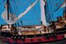 Calico Jack is fully assembled