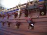 historic ship models is fully assembled