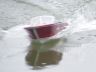 Riva model boats is fully assembled