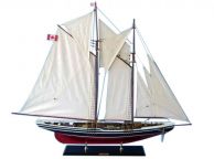 Bluenose Limited 50