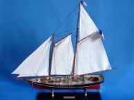 America Limited 32 ship model