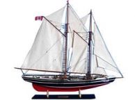 Bluenose Limited 35