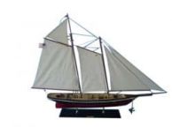 America 44 Limited ship model
