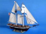 Baltimore Harvey Clipper Limited 36