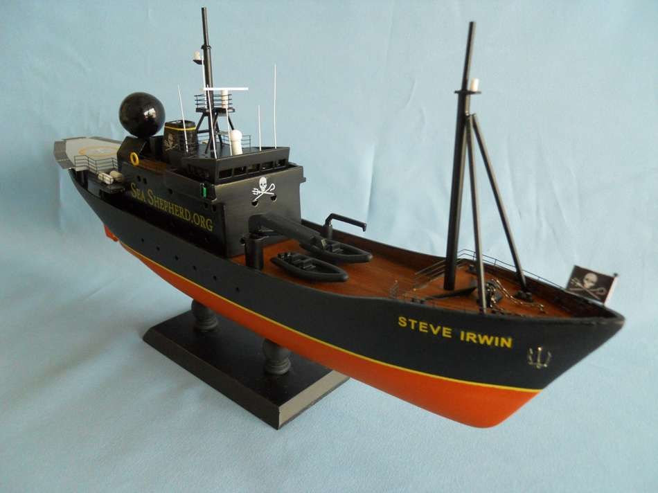 Model of the Steve Irwin of Sea Shepherd
