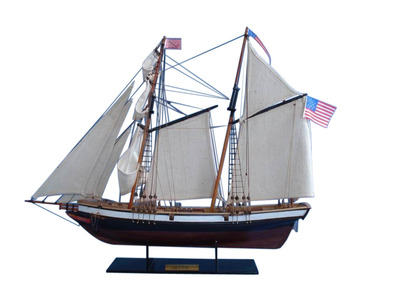 Lynx 24