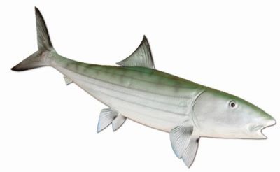 Bonefish Fish Replica 32quot; Bonefish Fish Replica 32