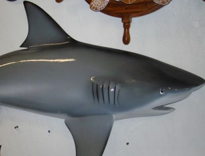 Bull Shark Replica 67