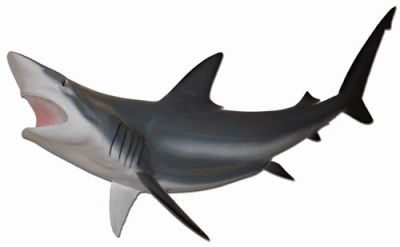 Grey Black-Tip Shark Replica 50quot; Grey Black-Tip Shark Replica 50
