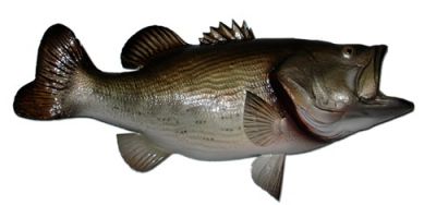 Largemouth Bass Fish Replica 28