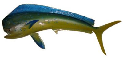 Mahi Fish Replica 50quot; Mahi Fish Replica 50