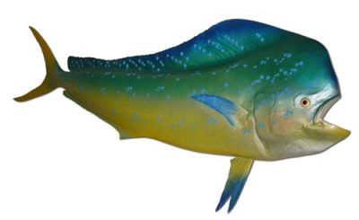 Mahi Fish Replica 72quot; Mahi Fish Replica 72