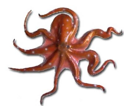 Orange-Brown Octopus Fish Replica 32quot; Orange-Brown Octopus Fish Replica 32