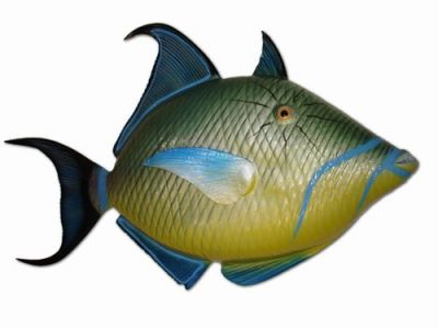 Queen Trigger Fish Replica 30