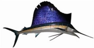 Sailfish Replica 84 Sailfish Replica 84