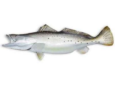 Seatrout Fish Replica 32