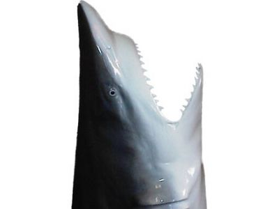 Shark Head Replica 18quot; Shark Head Replica 18