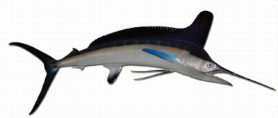 White Marlin Fish Replica 90quot; White Marlin Fish Replica 90