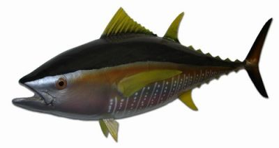 Yellowfin Tuna Fish Replica 38