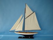 Volunteer 35
