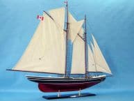 Bluenose Limited 44 picture