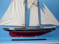 Bluenose Limited 44 picture