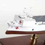 USNS Mercy 16 picture