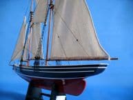 Bluenose Limited 24 picture