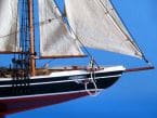 Bluenose Limited 24 picture