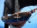 Black Prince Limited 24 picture