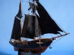 Black Prince Limited 24 picture