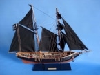 Black Prince Limited 24 picture