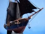 Black Prince Limited 24 picture