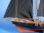 Black Prince Limited 24 picture