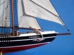 Bluenose Limited 32 picture