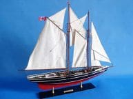 Bluenose Limited 32 picture