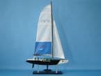 BMW Oracle 30 picture