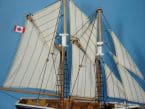 Bluenose 17 picture