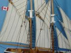 Bluenose 17 picture