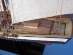Lynx 24 picture