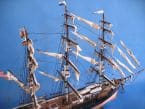 Flying Fish 50 picture