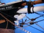 Flying Fish 50 picture