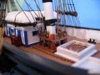 Flying Fish 50 picture