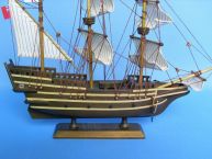 Mayflower 14 picture