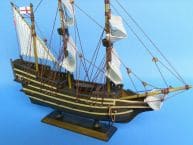 Mayflower 14 picture